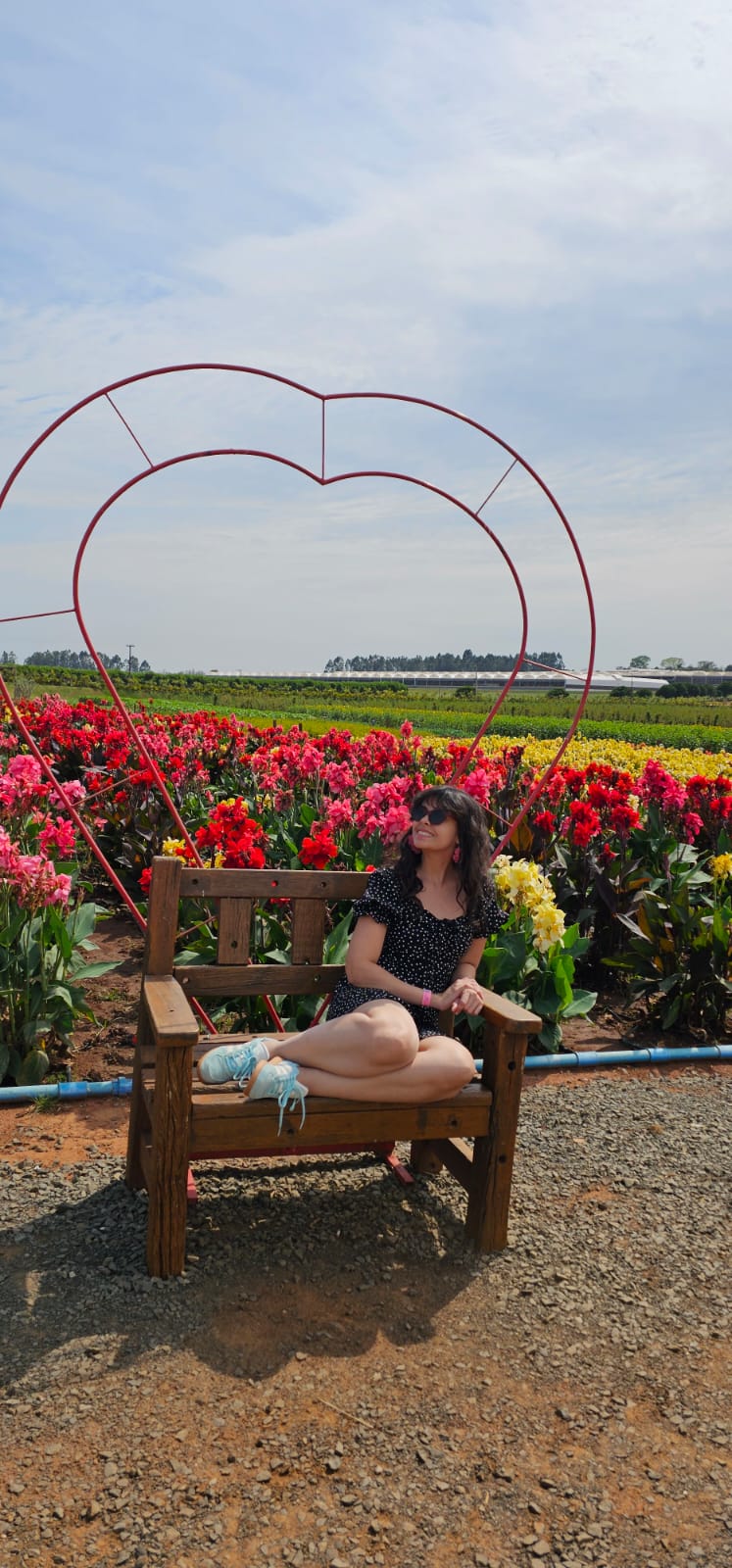 10 Atrações Imperdíveis de Holambra